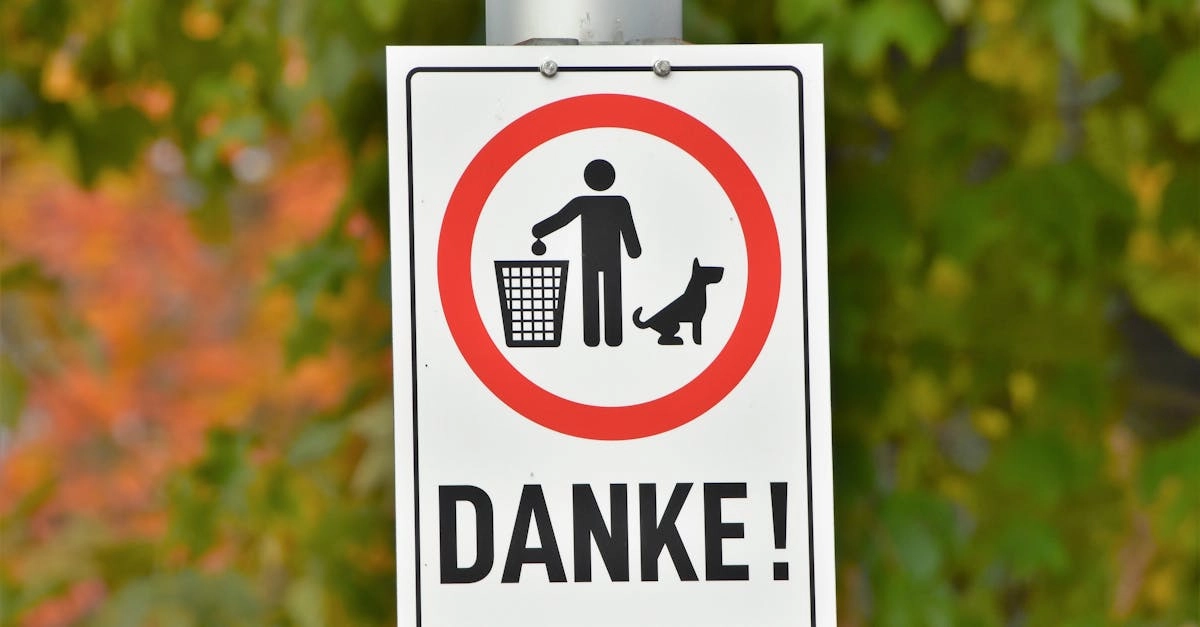 Архитектура немецких игорных порталов и системный анализ рынка